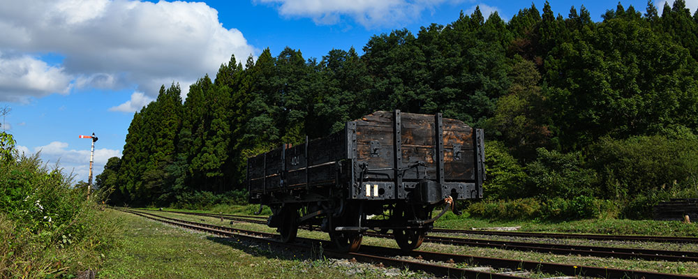 レールバス [RAILBUS] 一般社団法人南部縦貫レールバス愛好会 | TOP