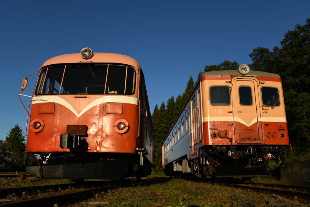 レールバス [RAILBUS] 一般社団法人南部縦貫レールバス愛好会 | 活動日誌