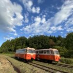 レールバス [RAILBUS] 一般社団法人南部縦貫レールバス愛好会 | キハ101